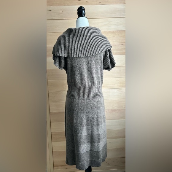 Spicysugar, extra large, short sleeve turtleneck with buttons sweater dress - Picture 2 of 7